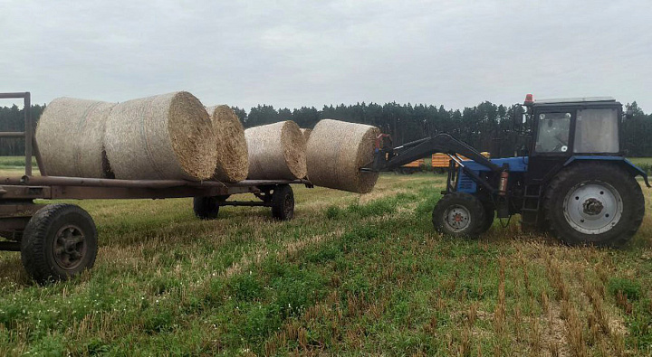 Военнослужащие 11 омбр оказывают помощь аграриям