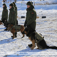 В историко-культурном комплексе «Линия Сталина» при поддержке Министерства обороны прошло праздничное мероприятие