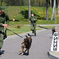 Прошел отбор участников для участия в конкурсе Армейских международных игр «Верный друг»