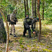 С задачами справились