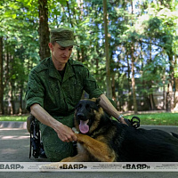 Военнослужащие кинологического центра Вооружённых сил со своими воспитанниками