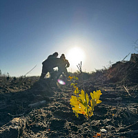 Военнослужащие Гомельского гарнизона продолжают принимать участие в акции «Дай лесу новае жыццё!»