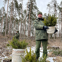 Белорусские военнослужащие продолжают принимать участие в республиканской акции «Дай лесу новае жыццё»