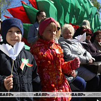 В Гродно прошла акция «Белые журавли», посвященная 80-летию Великой Победы