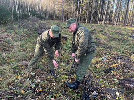 Военнослужащие 297 цуфпс внесли свой достойный вклад в создание будущего леса Минского гарнизона