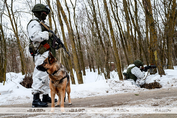 Белорусские военнослужащие продолжают выполнять задачи по усилению охраны госграницы