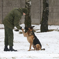 С интересом об армии