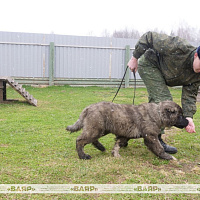 Молодежная квиз-игра «Я и профсоюз: Мы вместе»