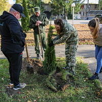 Доброе дело