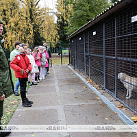 В гостях у военных кинологов