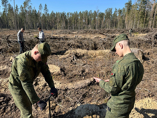 Курсанты продолжают принимать участие в акции «Дай лесу новае жыццё»