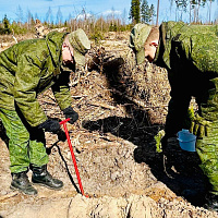 Военнослужащие инженерного полка СЗОК приняли участие в добровольной общественной акции «Лес. Дабро, Парадак»