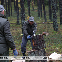 29 октября состоится чемпионат по колке дров среди журналистов