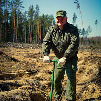 Военнослужащие 36-й дорожно-мостовой и 65-й автомобильной бригад приняли участие в акции «Дай лесу новае жыццё!»