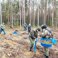 Наведение порядка на своей земле – дело благородное