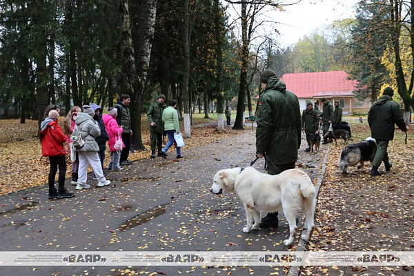 В гостях у военных кинологов