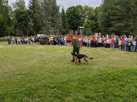 Военно-спортивная игра «Зарница»