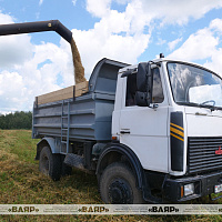 Военнослужащие присоединились к уборке урожая