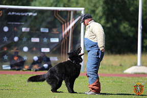 Верный друг Цицерон