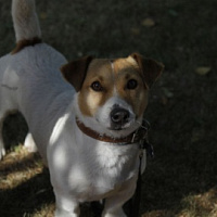 «С наступающим праздником!»	