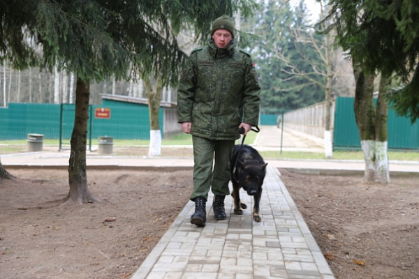 Кинологическому центру Вооружённых Сил — 29 лет