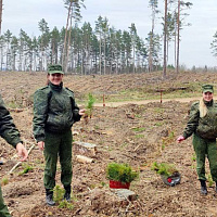 Армия не остаётся в стороне