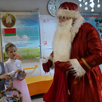 Рождественская сказка цвета хаки