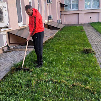 Не остались в стороне