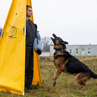 Кинологическому центру Вооружённых Сил — 29 лет