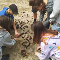 «Зарница» для юных патриотов