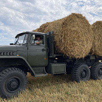 Военнослужащие 36 дмостбр продолжают оказывать помощь аграриям в уборке урожая