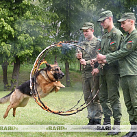 Торжественное открытие военно-патриотического клуба «Верный друг»