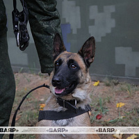 Школьники посетили 2 ибр