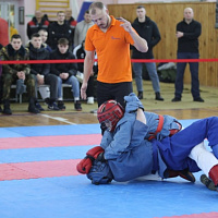 В Марьиной Горке завершился чемпионат Вооруженных Сил по армейскому рукопашному бою