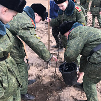 Подарок ветеранам