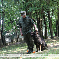 Подведены итоги военно-профессионального конкурса на лучшего специалиста служебного собаководства «Верный друг»