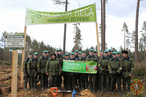 Суворовцы МСВУ приняли участие в акции «Неделя леса»