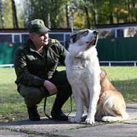 Служба одна на двоих