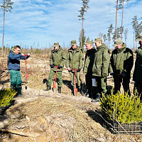 Военнослужащие инженерного полка СЗОК приняли участие в добровольной общественной акции «Лес. Дабро, Парадак»
