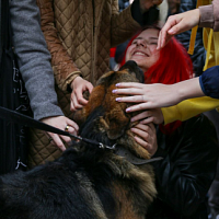 В гостях у военных инженеров