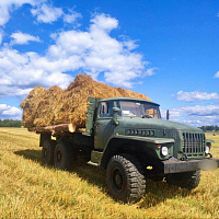 Белорусские военнослужащие продолжают оказывать помощь в уборке урожая