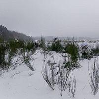 Занятия по огневой подготовке
