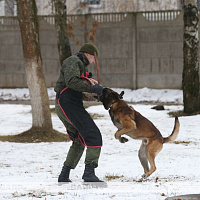 С интересом об армии