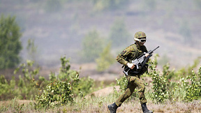 Учения НАТО «Железный волк» начались в Литве