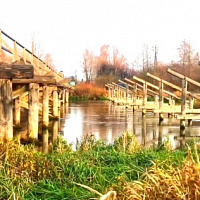 Научная экспедиция по Полесской низменности 