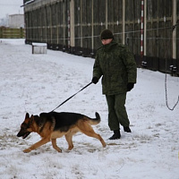 Они всегда начеку