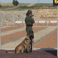 «Верный друг»