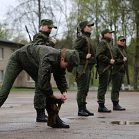 За новым званием