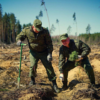 Военнослужащие 36-й дорожно-мостовой и 65-й автомобильной бригад приняли участие в акции «Дай лесу новае жыццё!»