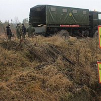 Полученные навыки бесценны